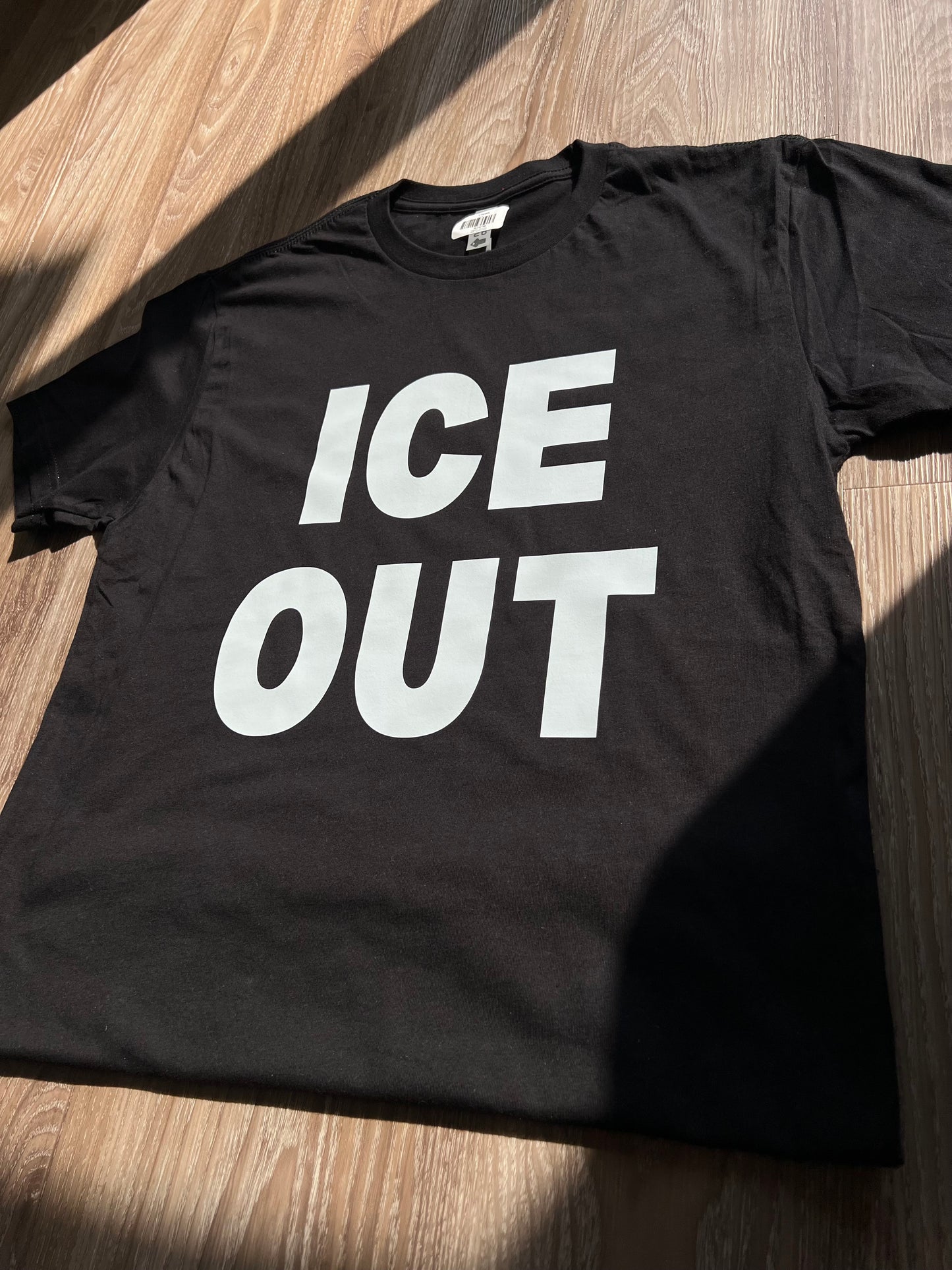 Ice Out